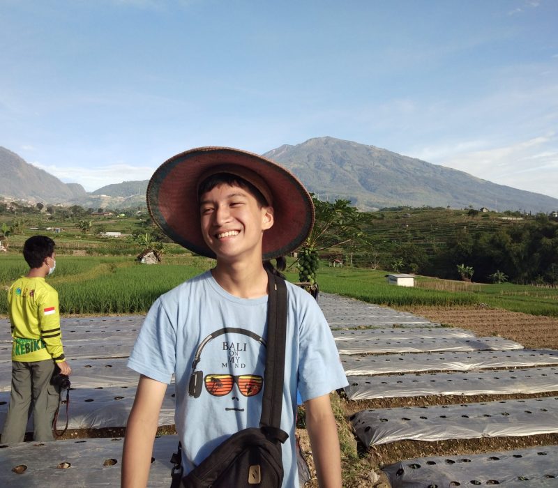 Agrifarm (5)